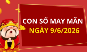 con so may man hom nay 6 Trực Tiếp Xổ Số Hôm Nay – Cập Nhật KQXS Nhanh, Chính Xác Nhất